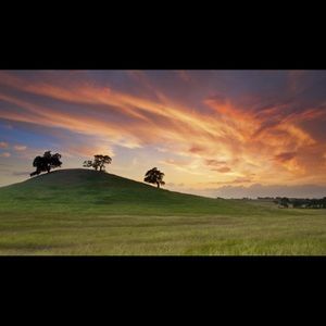 Meet your Posher, Liana